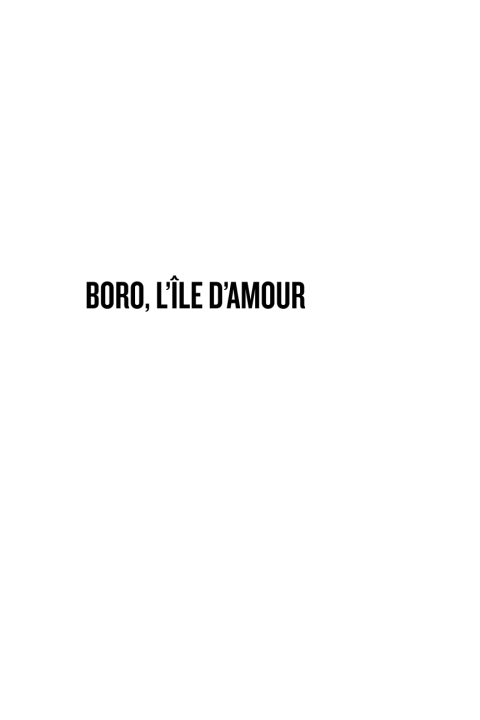 Cover image for book Boro, L'Île d'Amour
