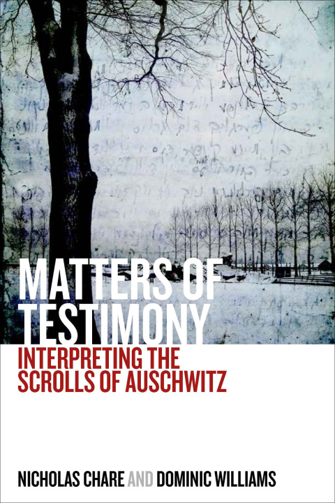 Cover image for book Matters of Testimony