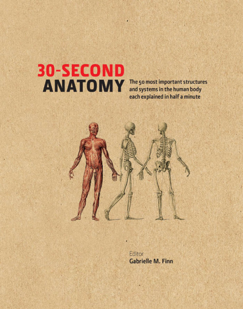 Cover image for book 30-Second Anatomy