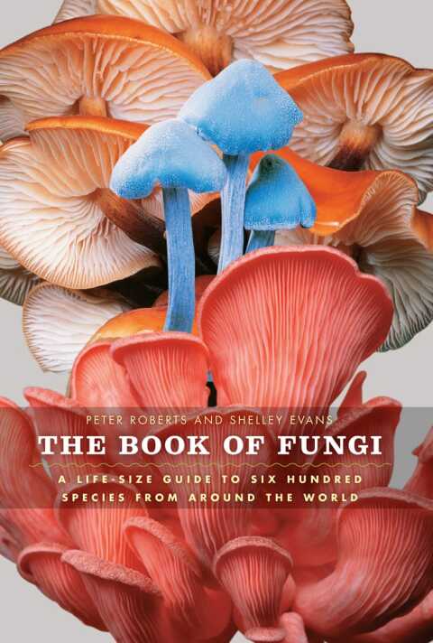 Cover image for book The Book of Fungi