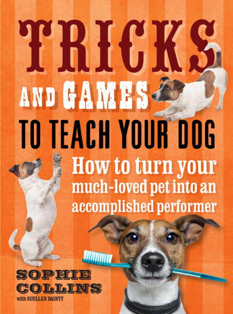 Cover image for book Tricks & Games To Teach Your Dog: How to turn your much loved pet