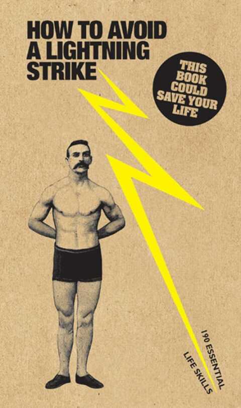 Cover image for book How to Avoid a Lightning Strike