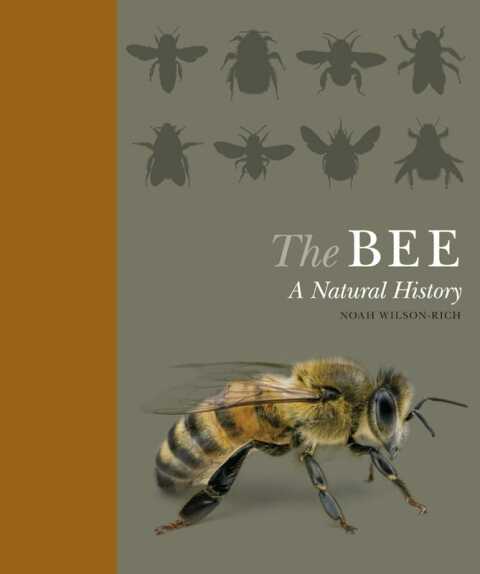 Cover image for book The Bee