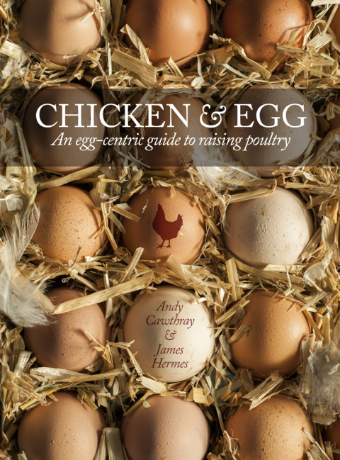 Cover image for book Chicken & Egg