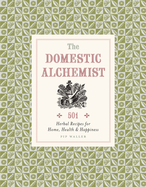 Cover image for book The Domestic Alchemist