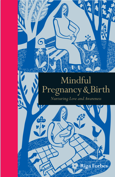 Cover image for book Mindful Pregnancy & Birth
