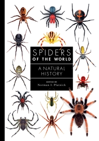 صورة الغلاف: Spiders of the World 9781782407508