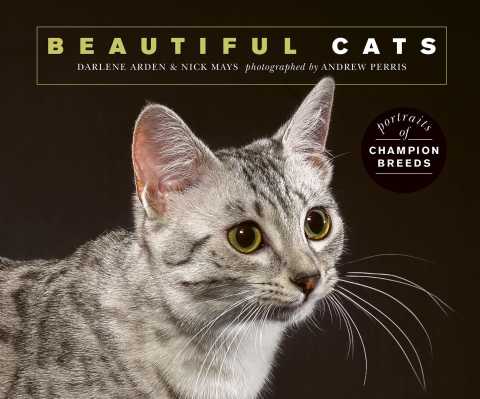 Cover image for book Beautiful Cats