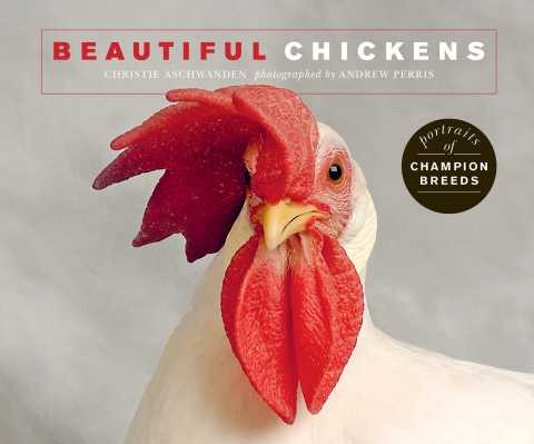 Cover image for book Beautiful Chickens