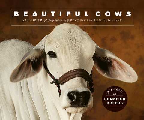 Cover image for book Beautiful Cows