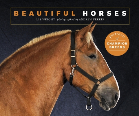 Cover image for book Beautiful Horses
