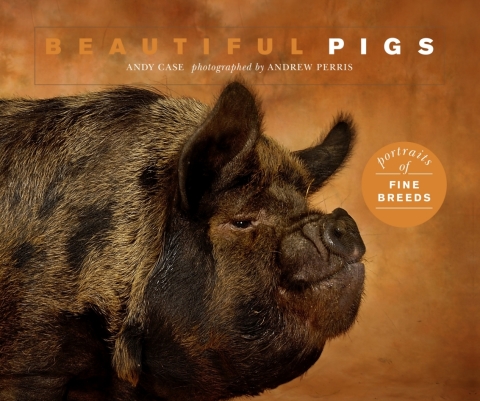 Cover image for book Beautiful Pigs