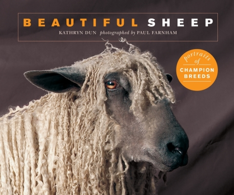Cover image for book Beautiful Sheep