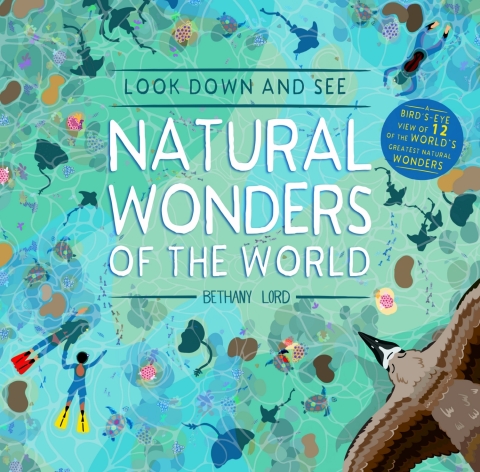 Cover image for book Look Down and See Natural Wonders of the World