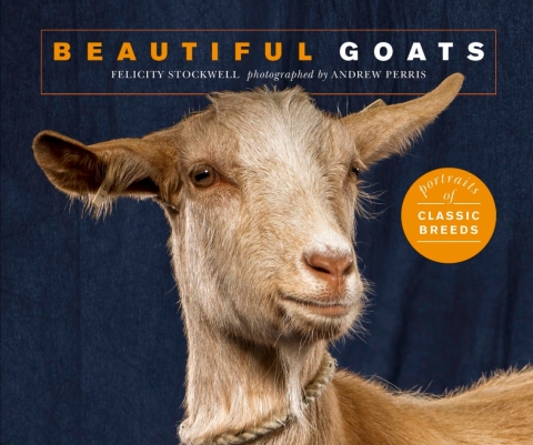 Cover image for book Beautiful Goats