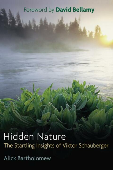Cover image for book Hidden Nature