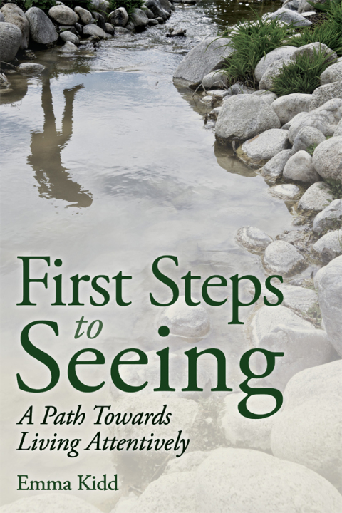 Cover image for book First Steps to Seeing