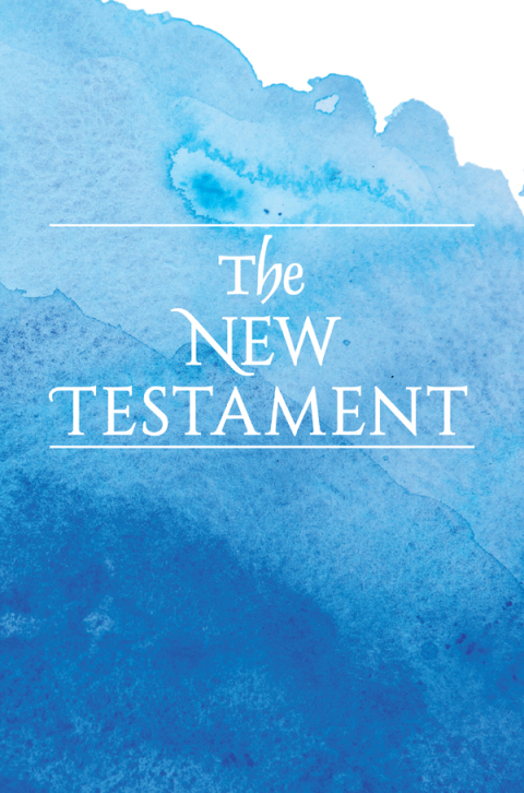 Cover image for book New Testament