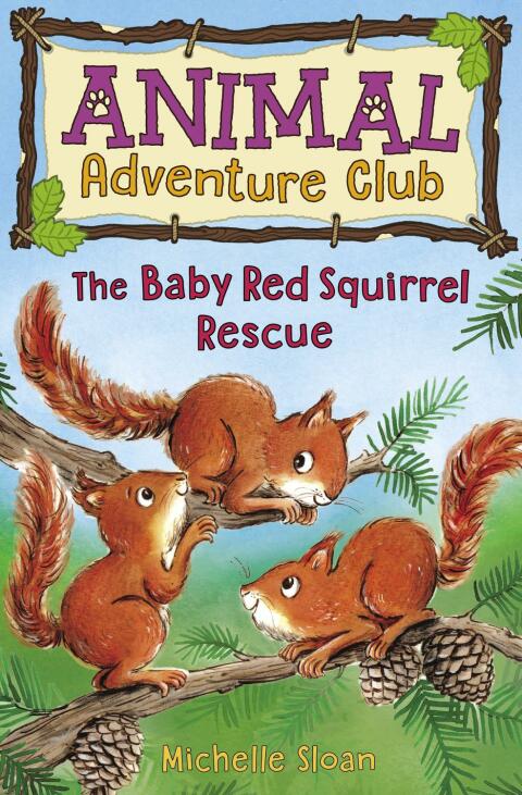 Cover image for book The Baby Red Squirrel Rescue (Animal Adventure Club 3)