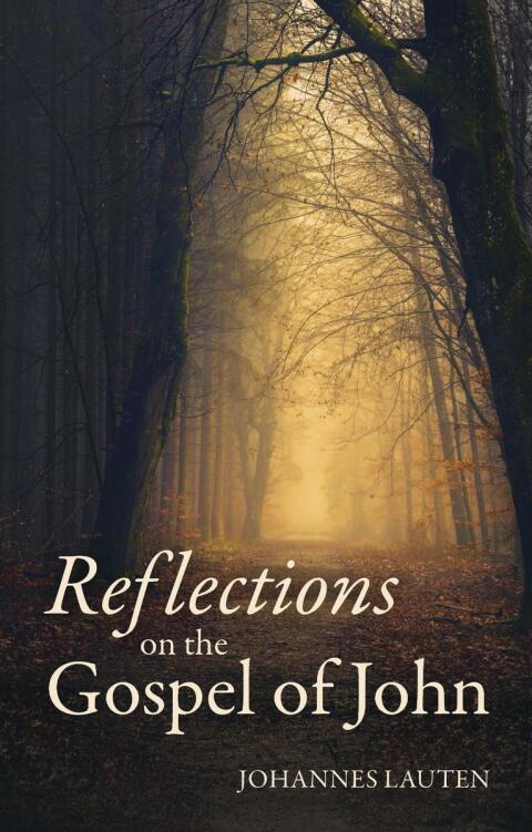 Cover image for book Reflections on the Gospel of John