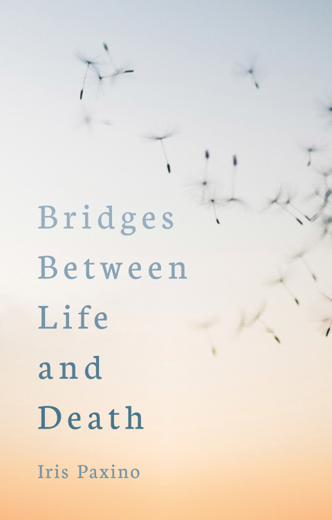Cover image for book Bridges Between Life and Death