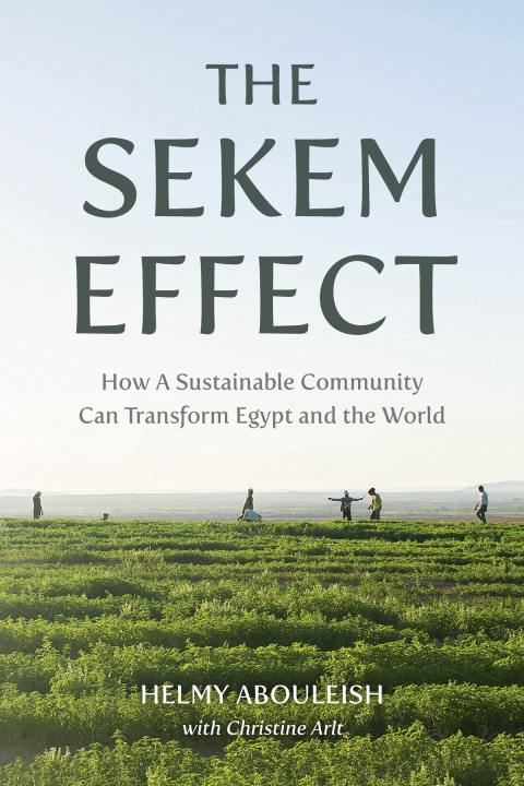 Cover image for book The Sekem Effect