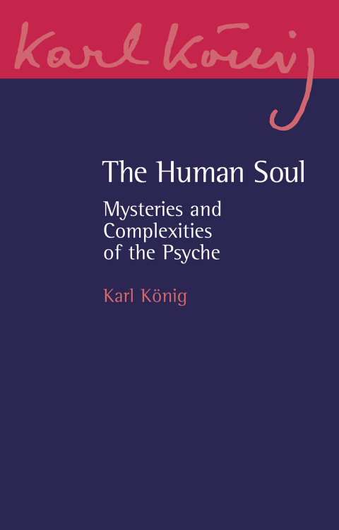 Cover image for book The Human Soul