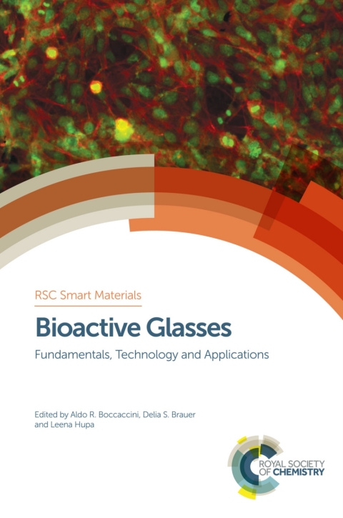 Bioactive Glasses 