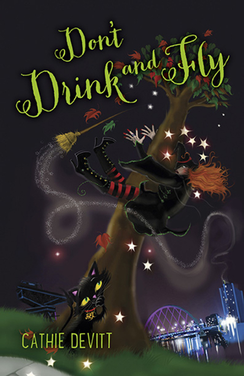 Cover image for book Don't Drink and Fly