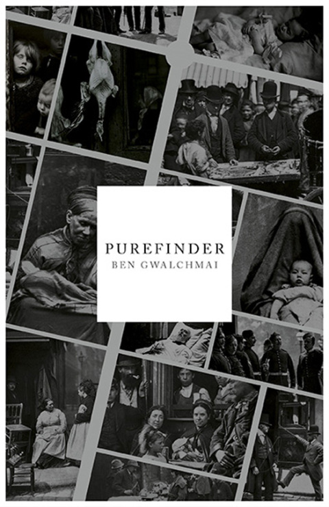 Cover image for book Purefinder