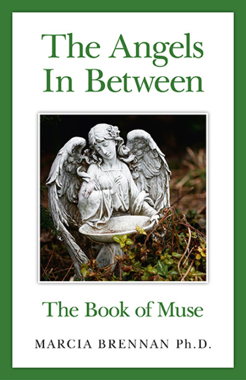 Cover image for book Angels In Between