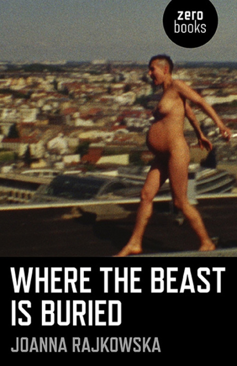 Cover image for book Where the Beast is Buried