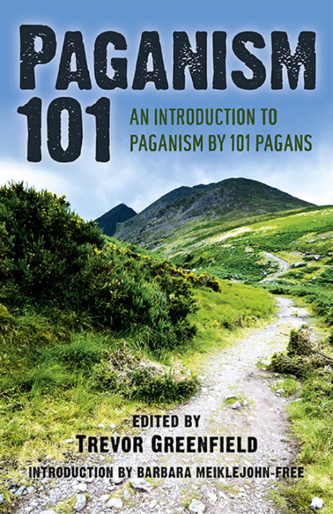 Cover image for book Paganism 101