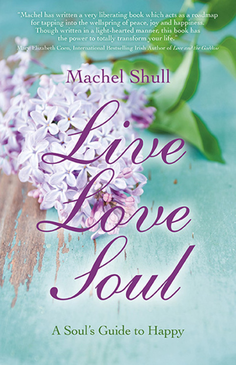 Cover image for book Live Love Soul