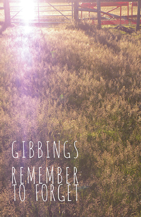 Cover image for book Remember to Forget