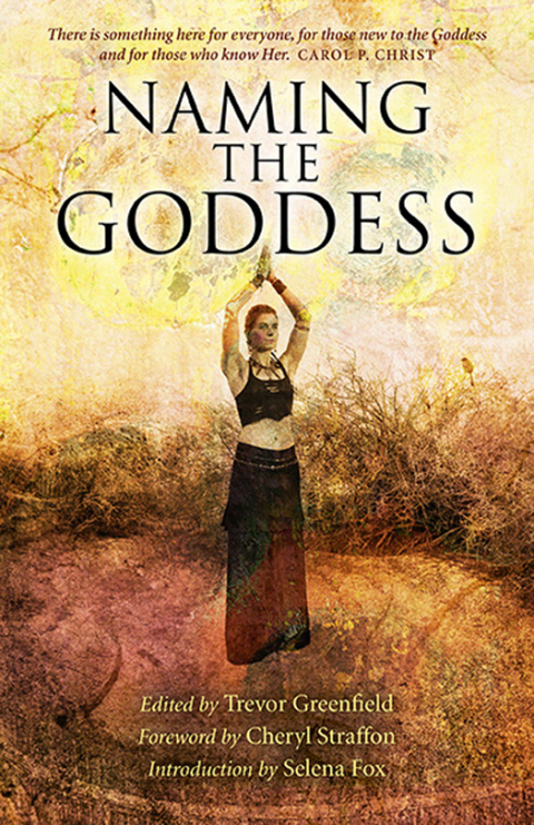 Cover image for book Naming the Goddess