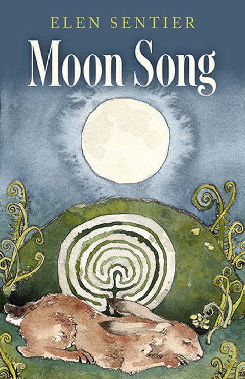 Cover image for book Moon Song