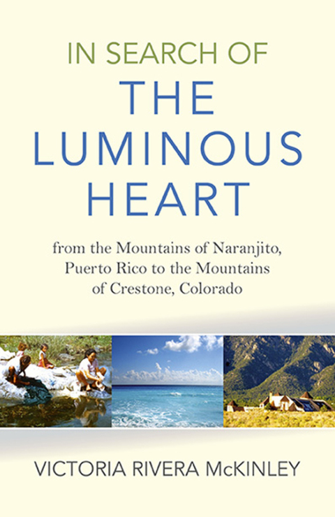 Cover image for book In Search of the Luminous Heart