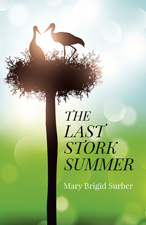 Cover image for book The Last Stork Summer