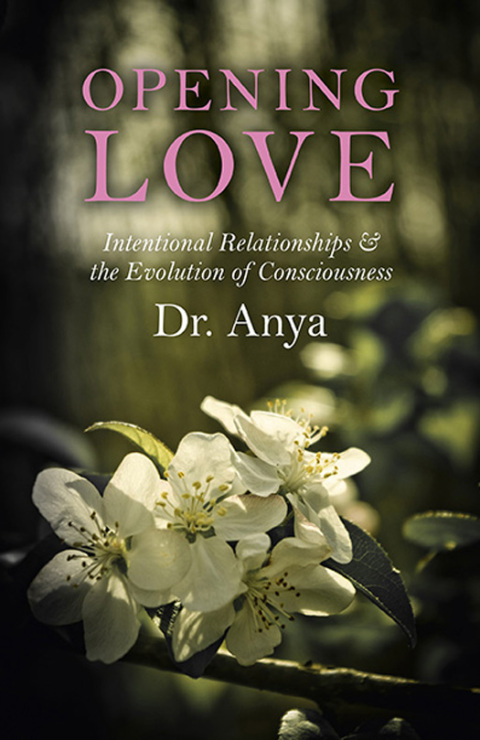 Cover image for book Opening Love