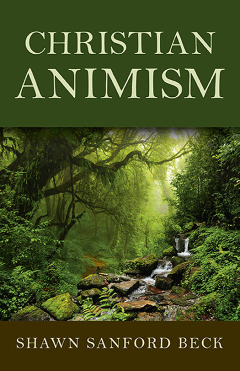 Cover image for book Christian Animism