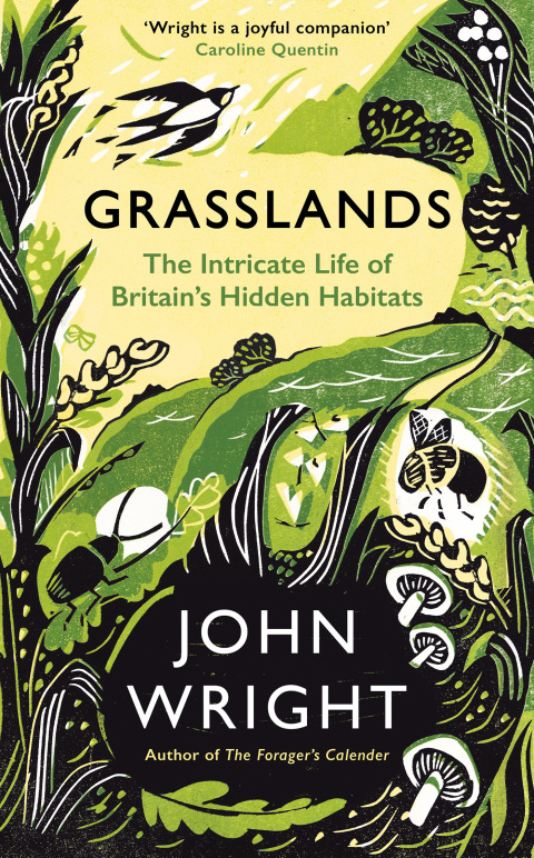 Cover image for book Grasslands