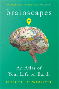 Brainscapes