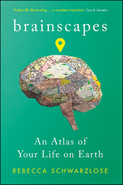 Brainscapes
