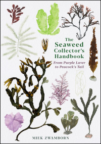 Titelbild: The Seaweed Collector's Handbook 9781788165464