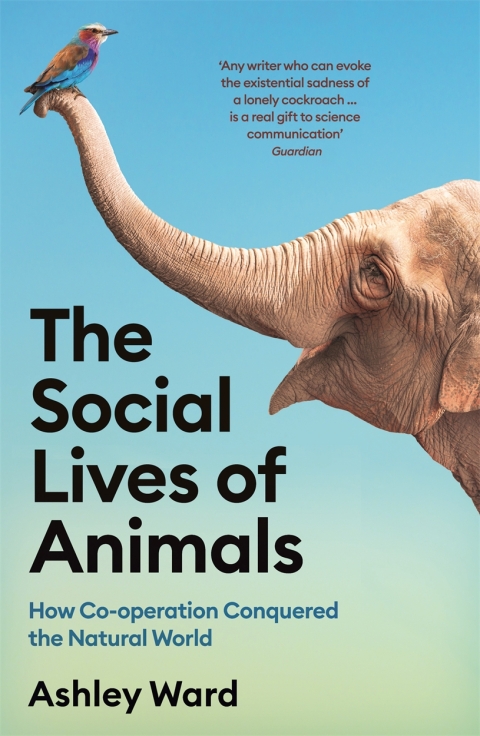 The Social Lives of Animals 