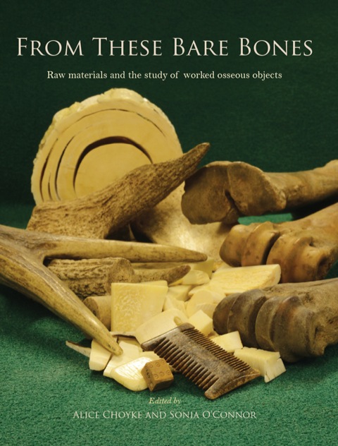Cover image for book From These Bare Bones