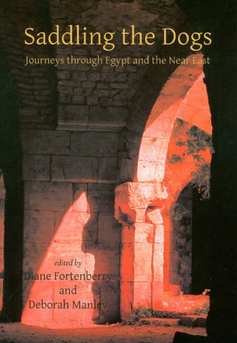 Cover image for book Saddling the Dogs