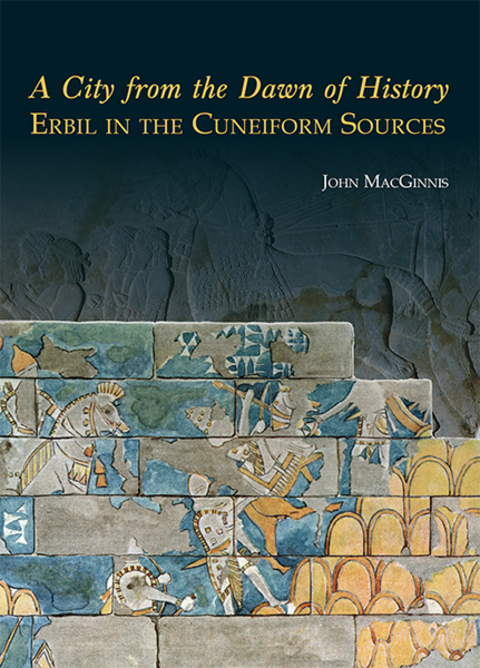 Cover image for book A City from the Dawn of History