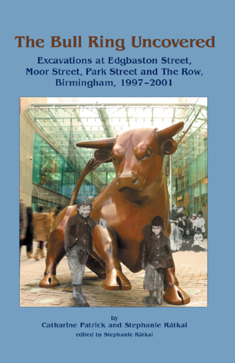 Cover image for book The Bull Ring Uncovered